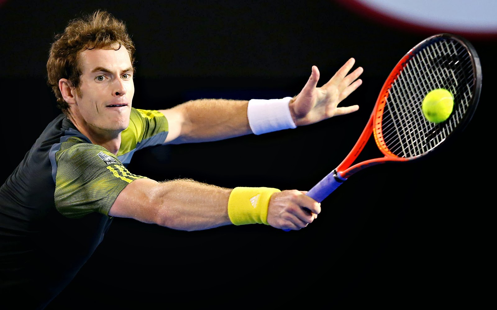 andy murray blog andy murray blog